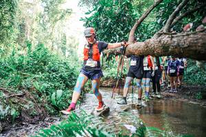 BIB: 
                            <button type="button" onclick="openModal(25514497)" class="btn btn-primary btn-sm float-right btn-popup" data-toggle="modal" data-target=".modal-high-quality">
                        <i class="fas fa-shopping-cart"></i> Add to Cart
                    </button>
                                            <button type="button" onclick="isThisMe(25514497, true)" class="btn btn-success btn-sm float-right btn-popup btn-isme hidden" data-toggle="tooltip" data-placement="bottom" title="นี่คือรูปของคุณใช่ไหม คลิกที่นี่เพื่อเอาเข้าอัลบั้ม">
                        <i class="fas fa-plus"></i> Add to album
                    </button>
                    <button type="button" onclick="isThisMe(25514497, false)" class="btn btn-warning btn-sm float-right btn-popup btn-isnotme hidden">
                        <i class="fas fa-ban"></i> Remove from album
                    </button>